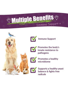 Suplemento Herbal Vibactra Plus Amber NaturalZ 118ml para Mascotas 2