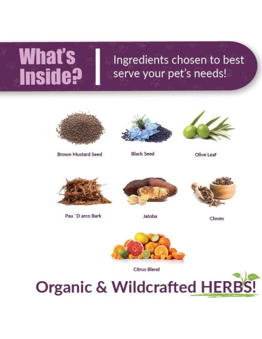 Suplemento Herbal Vibactra Plus Amber NaturalZ 118ml para Mascotas