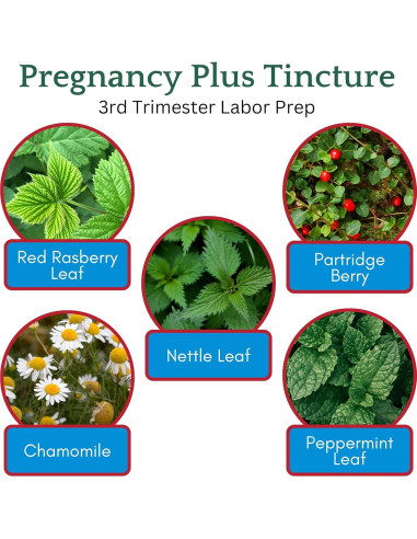 Té de embarazo Herb Lore Plus 118 ml - Preparación parto