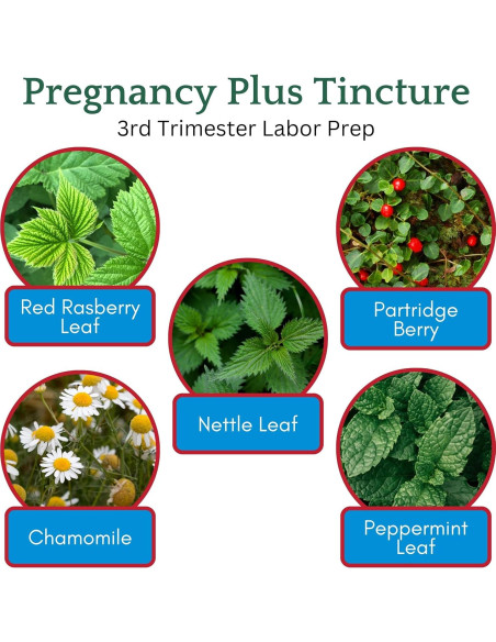 Té de embarazo Herb Lore Plus 118 ml - Preparación parto