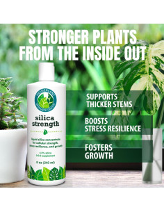 Suplemento Silica Strength 236.6 ml - Fortalece Plantas de Interior 2
