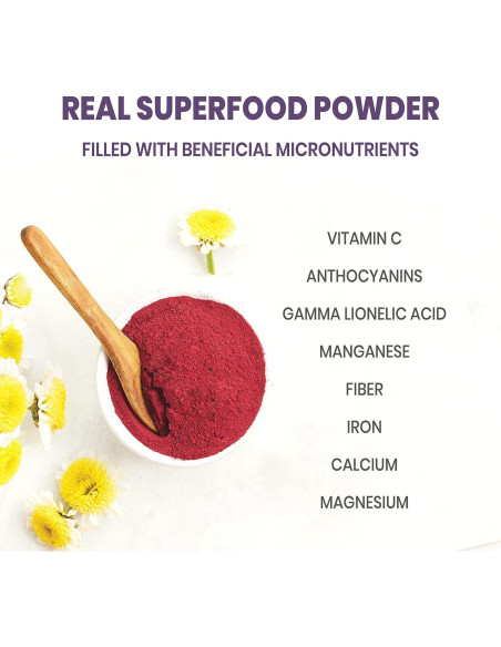 Paquete de 283g de Sirope de Grosella Negra y Frambuesa Negra Orgánica Jungle Powders