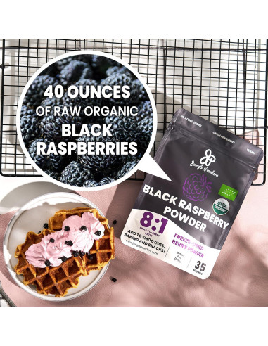 Paquete de 283g de Sirope de Grosella Negra y Frambuesa Negra Orgánica Jungle Powders