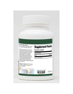 Polvo de Albahaca TerraVita 85 g - Paquete de 3 unidades 2