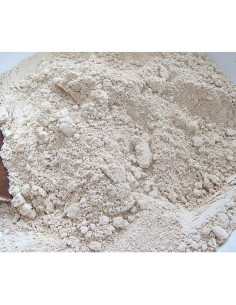 Harina de Almidón de Bellota Premium ROM AMERICA 907g Sin Gluten 2