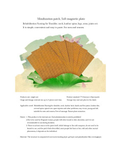 60 Parches de Moxibustión Autocalentables 7x10cm Alivio Dolor 2