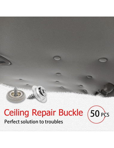 Kit de Reparación de Techo de Coche HAOBO 50 Remaches y Herramientas