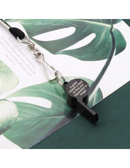 Silbato de Entrenador FAADBUK Acero Inoxidable 4cm Negro