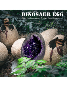 Geoda de Amatista Natural HIBCIGA 0.5-1 kg 2.5-4 Pulgadas 2