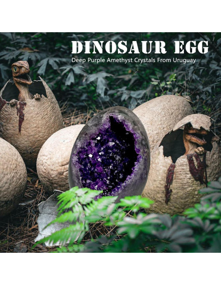 Geoda de Amatista Natural HIBCIGA 0.5-1 kg 2.5-4 Pulgadas