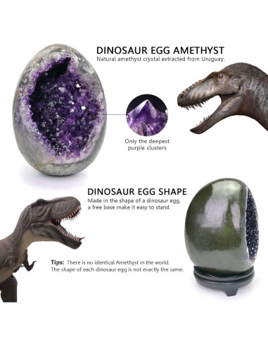 Geoda de Amatista Natural HIBCIGA 0.5-1 kg 2.5-4 Pulgadas