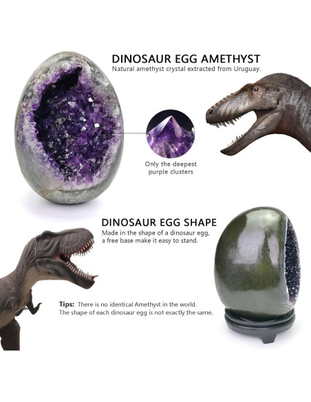 Geoda de Amatista Natural HIBCIGA 0.5-1 kg 2.5-4 Pulgadas