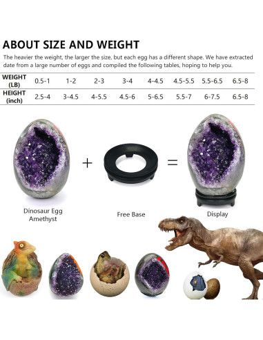 Geoda de Amatista Natural HIBCIGA 0.5-1 kg 2.5-4 Pulgadas