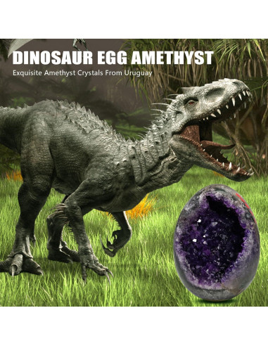 Geoda de Amatista Natural HIBCIGA 0.5-1 kg 2.5-4 Pulgadas