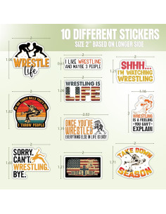 Hoja de Stickers Lucha Libre TAYTA 10pcs Vinilo Impermeable 2