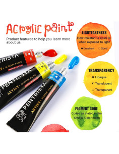 Juego de Pintura Acrílica PENTRISTA 48 Colores 12ml con Pinceles 2
