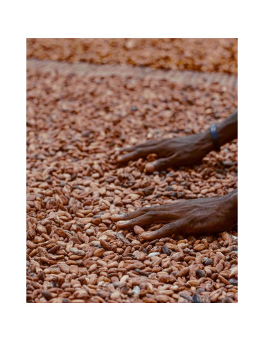 Semillas de Cacao Crudo Orgánico Kovafood 0.91 kg - Chocolate Casero