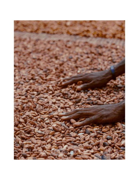 Semillas de Cacao Crudo Orgánico Kovafood 0.91 kg - Chocolate Casero