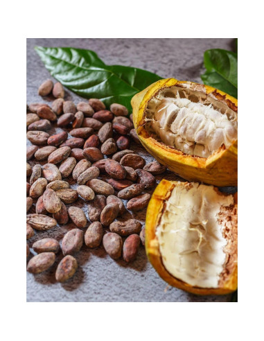 Semillas de Cacao Crudo Orgánico Kovafood 0.91 kg - Chocolate Casero
