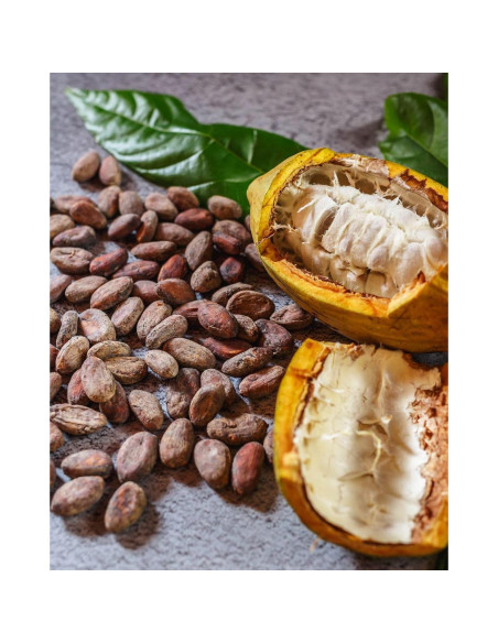 Semillas de Cacao Crudo Orgánico Kovafood 0.91 kg - Chocolate Casero