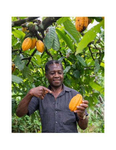 Semillas de Cacao Crudo Orgánico Kovafood 0.91 kg - Chocolate Casero