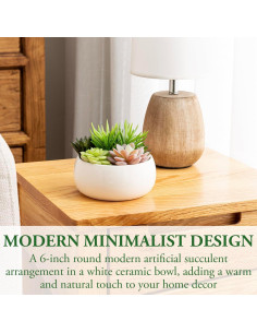 Arreglo de Suculentas Artificiales MyGift en Maceta Cerámica 15 cm 2