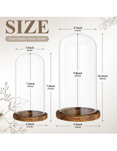 Campanas de Vidrio con Base de Madera Suclain - 2 Pcs 10" y 7" 2