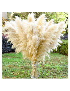 11 Piezas de Hierba Pampas Secas Beige 101.6 cm para Decoración