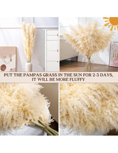 11 Piezas de Hierba Pampas Secas Beige 101.6 cm para Decoración