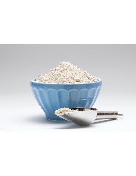 Mezcla de Harina Sin Gluten Jessica's Natural Foods 567g