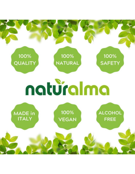 Tintura de Hongo Chaga Naturalma 118 ml - Suplemento Vegano