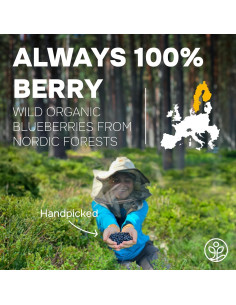 Arándanos Silvestres Orgánicos Liofilizados Jungle Powders 113g 2