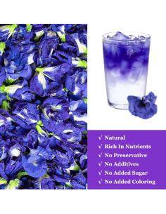 Polvo de Flor de Guisante Mariposa SXETBEAN 100g Colorante Natural 2