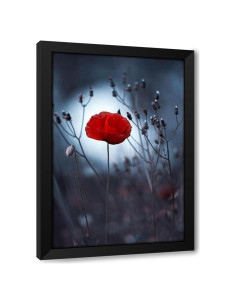 Impresión de Arte Enmarcada Fabien Bravin - Flor No Por Kenzo 33x46 a 104x152 cm