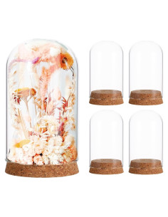 Campana de Vidrio Cloche IMIKEYA 5 Piezas con Base de Madera 10x6 cm