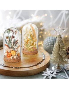 Campana de Vidrio Cloche IMIKEYA 5 Piezas con Base de Madera 10x6 cm 2