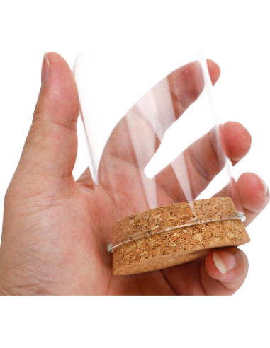 Campana de Vidrio Cloche IMIKEYA 5 Piezas con Base de Madera 10x6 cm