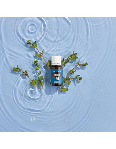 Aceite Esencial de Mejorana Young Living 15ml - Relajación y Soporte Muscular