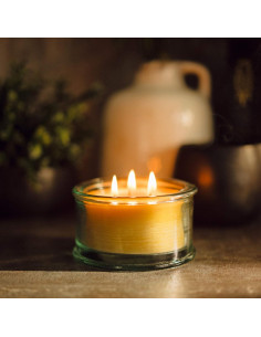 Vela de Cera de Abeja Pura Bluecorn 3 Mechas Eucalipto Naranja 283g 2