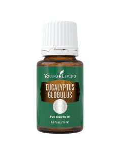 Aceite Esencial de Eucalipto Globulus Young Living 15ml - Aromaterapia Pura