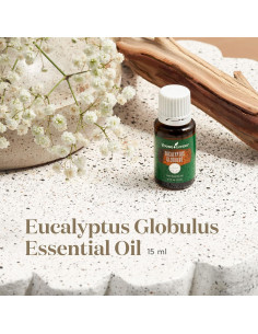 Aceite Esencial de Eucalipto Globulus Young Living 15ml - Aromaterapia Pura 2