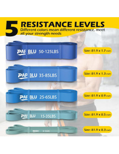 Bandas de Resistencia PAPIBLU PAB-006, 5 Niveles 3.6-56.7 kg 2