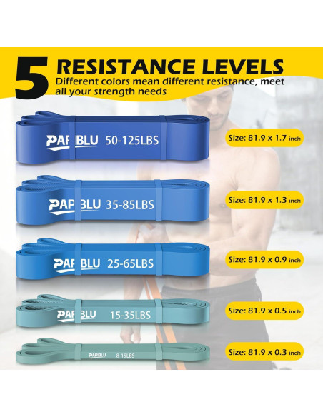 Bandas de Resistencia PAPIBLU PAB-006, 5 Niveles 3.6-56.7 kg
