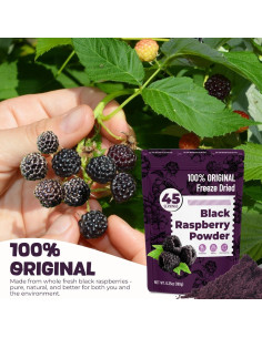 Polvo de Frambuesa Negra 180g - 100% Natural y Vegano 2