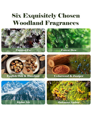 Aceite de Fragancia Woodland AmaKane 6x10ml - Aromas Naturales