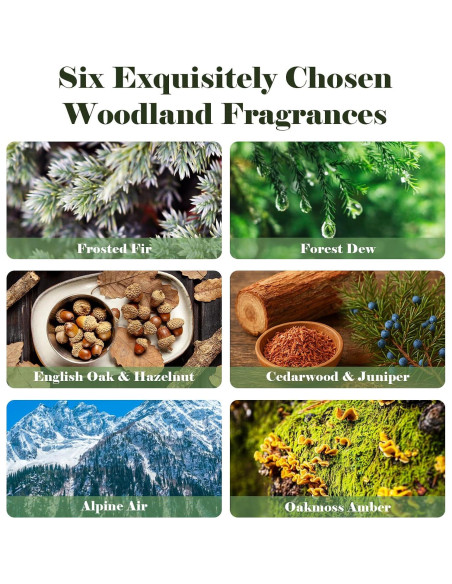 Aceite de Fragancia Woodland AmaKane 6x10ml - Aromas Naturales