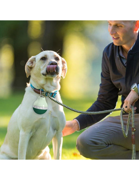 Botella de Agua para Perros DONGKER 200ml Plegable Verde
