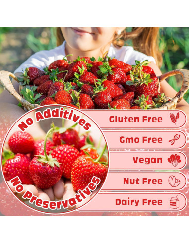 Polvo de Fresa Liofilizado Kiigfood 120g - Vegano y Sin Gluten