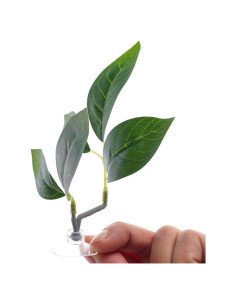 Hoja de Almohada para Betta LNYMZD Verde - Cama de Descanso