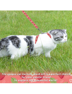 Conjunto Arnés y Correa Seyezo para Gatos Pequeños Rosa 2